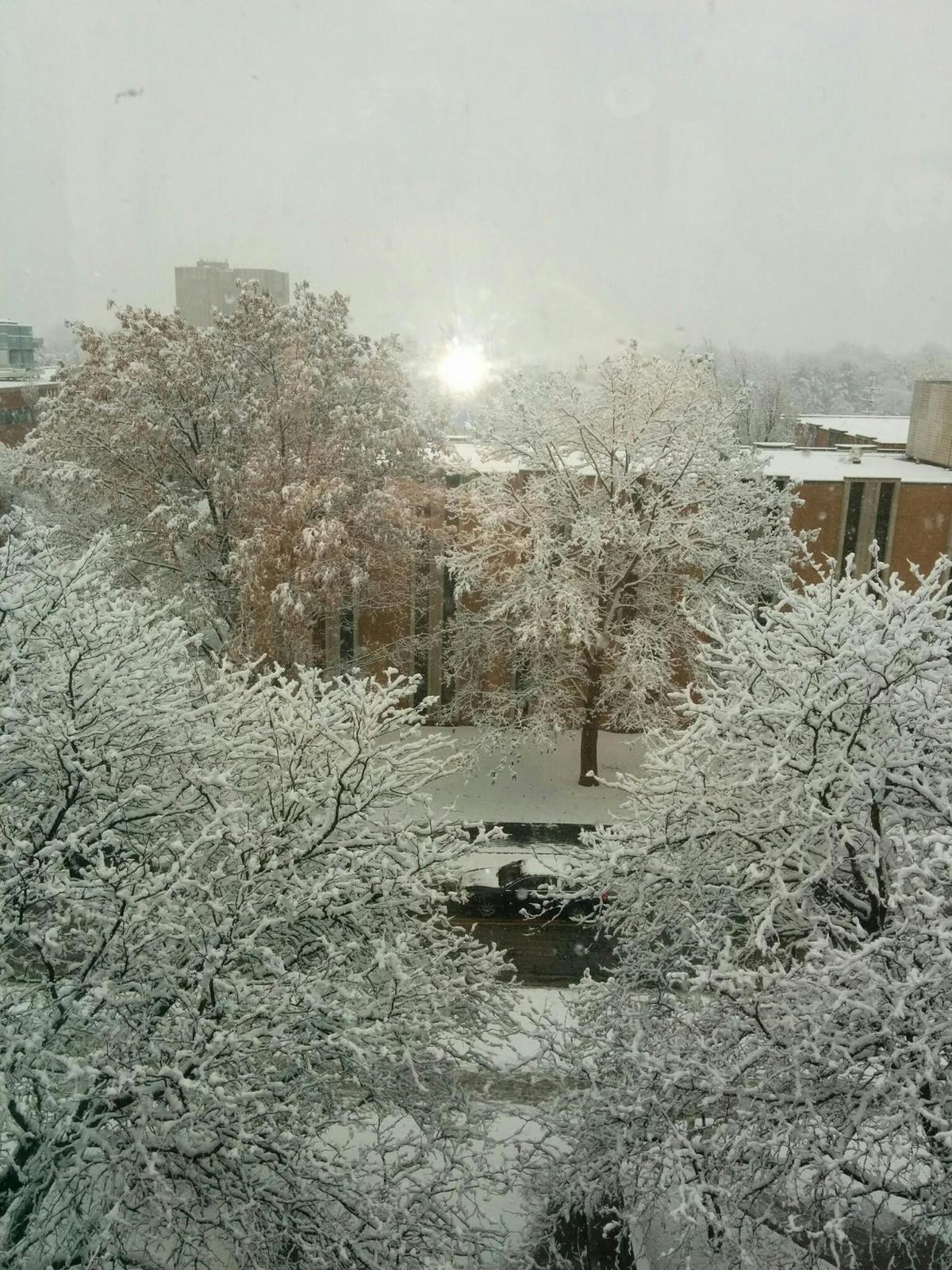 Electrical Code Compliance: Common Violations to Avoid - TELL PROJECTS Katy TX