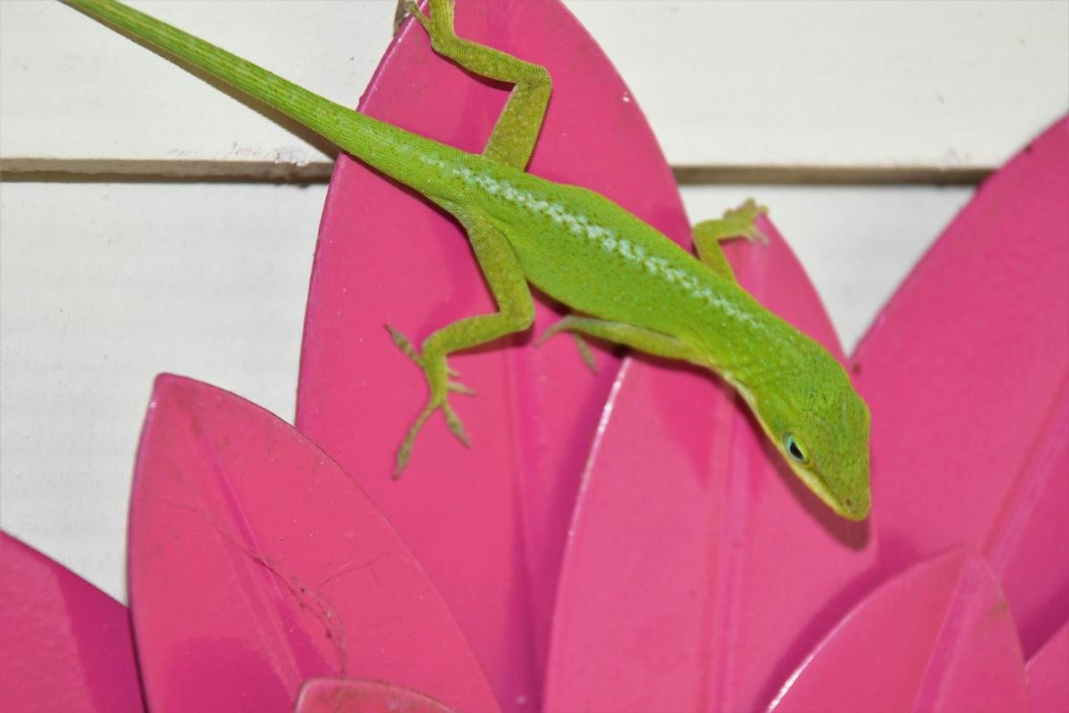 Lien Waivers and Their Importance - TELL PROJECTS Katy TX