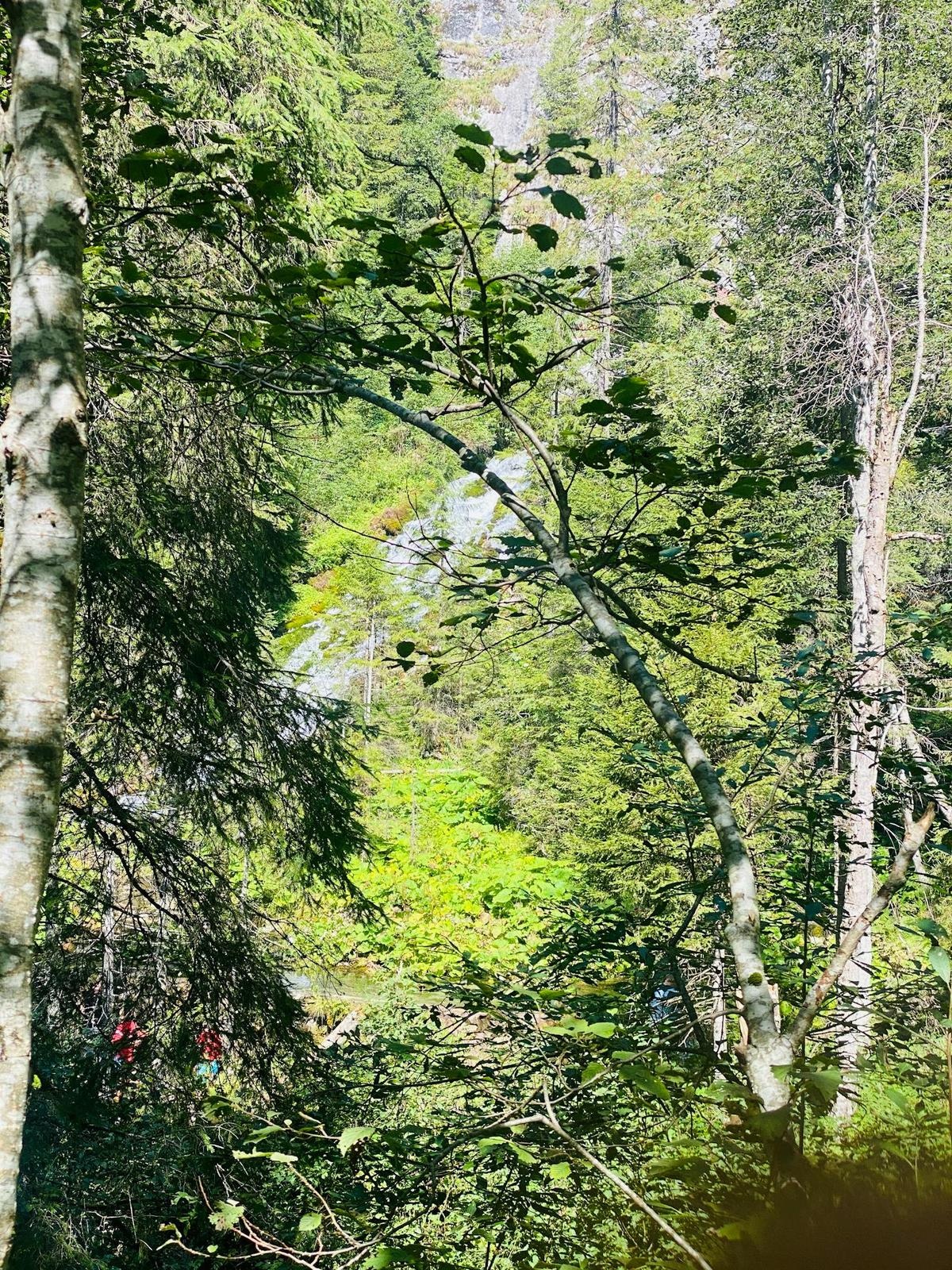 Mechanical Code Compliance for HVAC Systems - TELL PROJECTS Katy TX