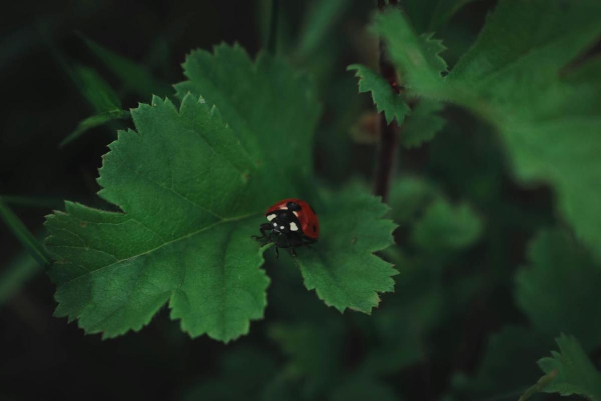 Plumbing Code Standards in Houston Area - TELL PROJECTS Katy TX