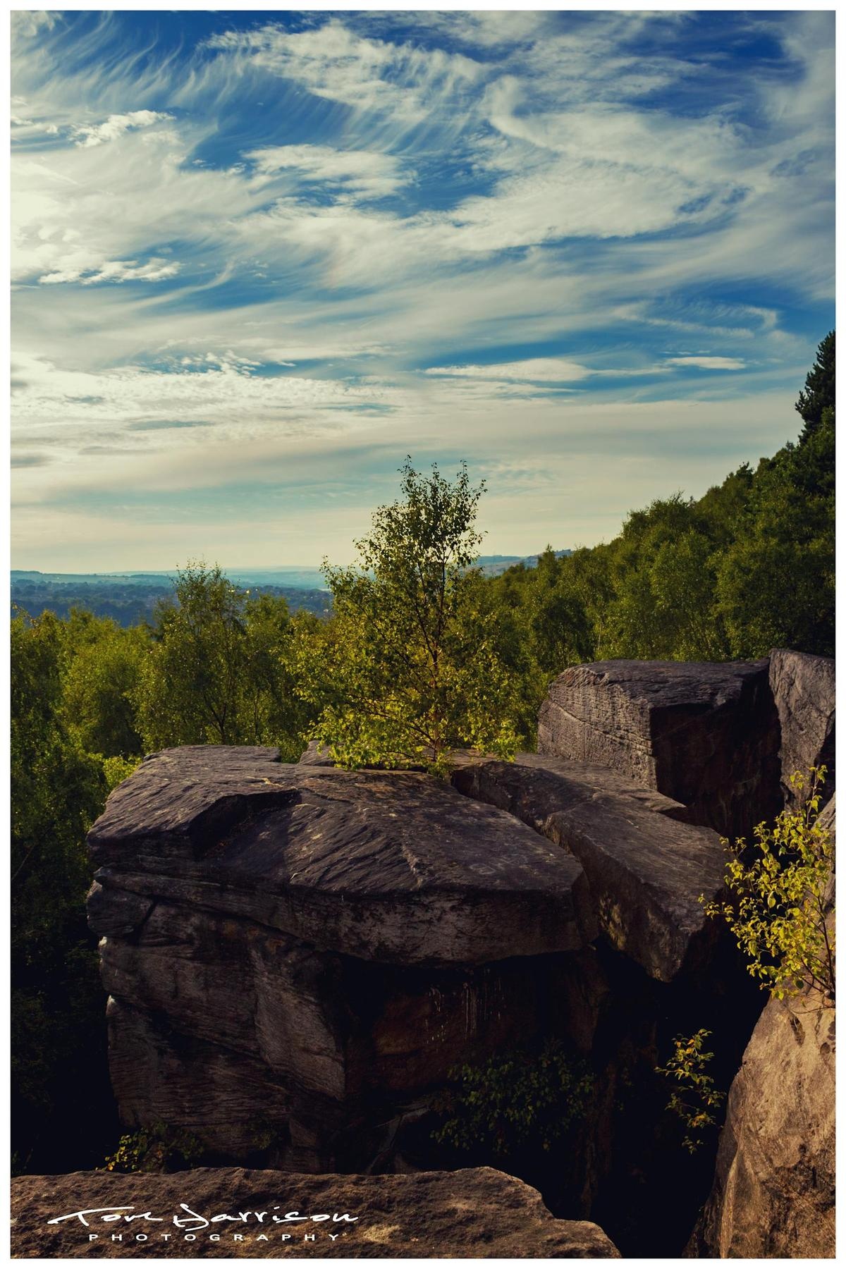 Restaurant Seating Layout Optimization - TELL PROJECTS Katy TX