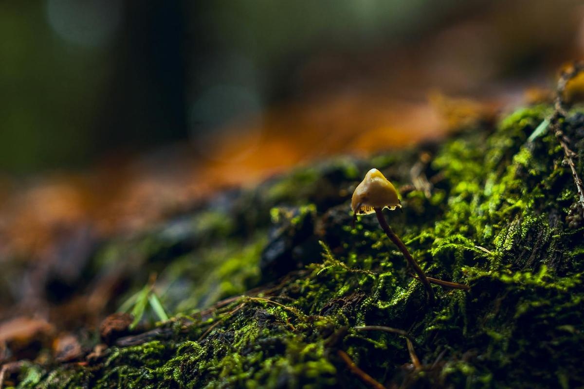 Smart Home Technology Integration During Renovation - TELL PROJECTS Katy TX