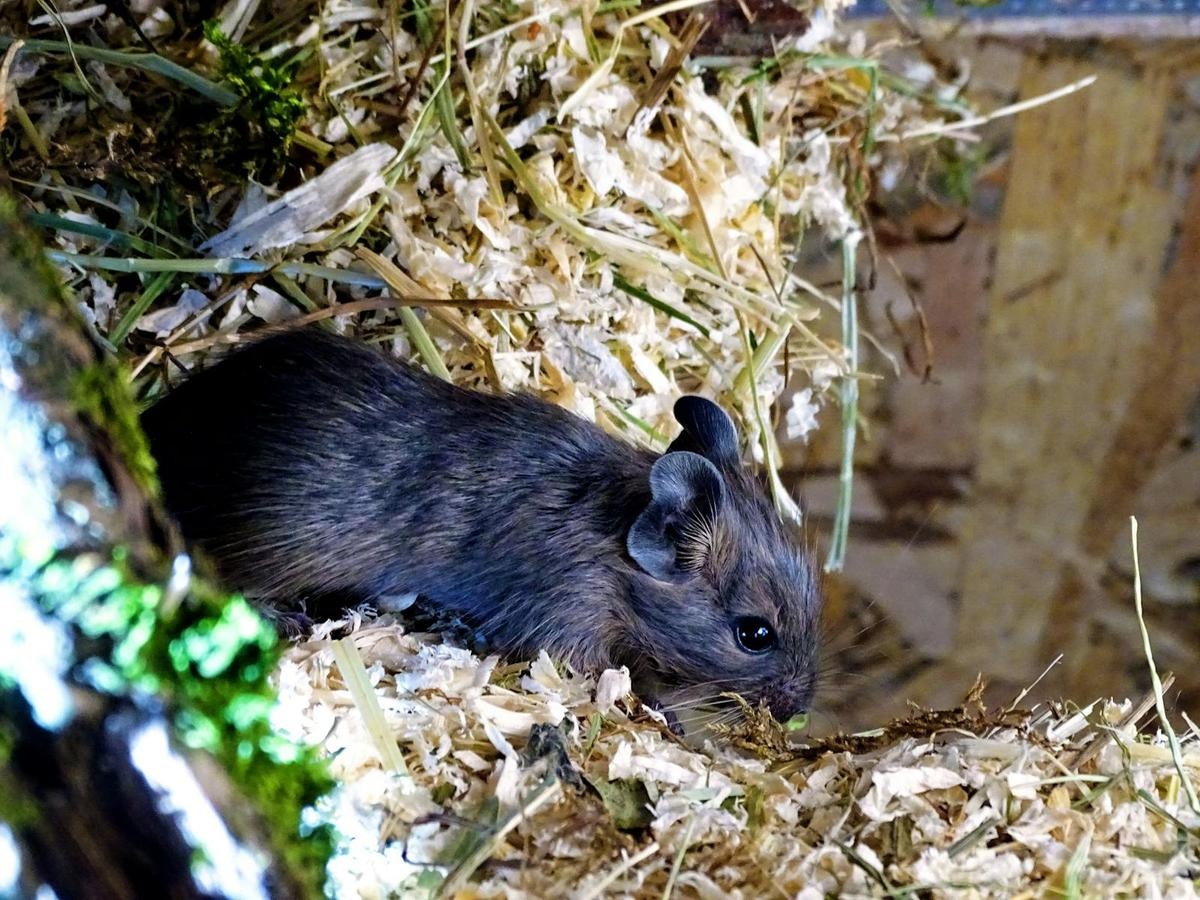 Wind Load Requirements for Coastal Construction - TELL PROJECTS Katy TX